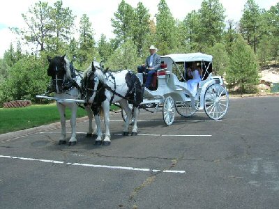 Wedding Carriage